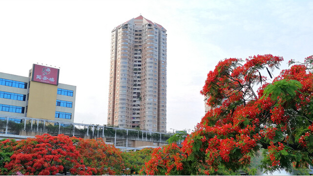 PCB厂之凤凰花开“红”遍深圳